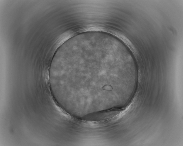 X0000111001241200907171806