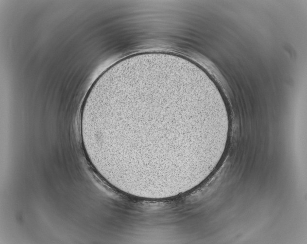 X0000111001242200907171806