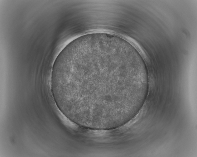 X0000111001244200907171806