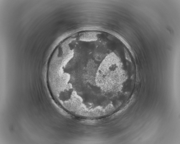 X0000111001245200907171806