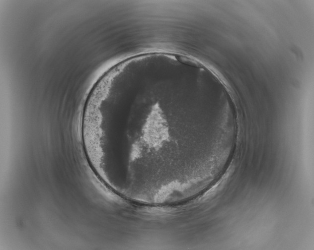 X0000111001246200907171806