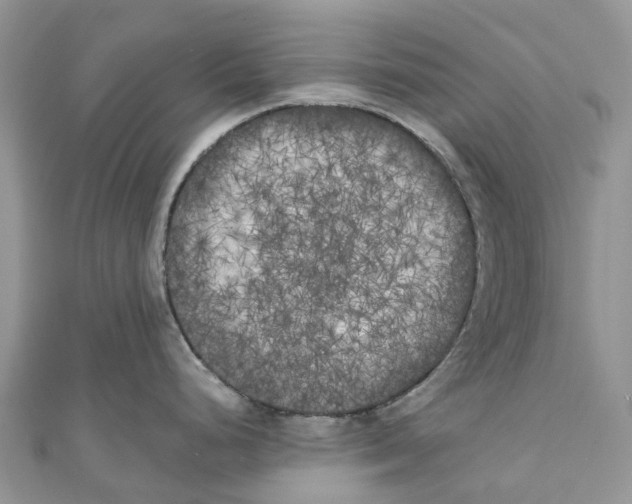 X0000111001248200907171806