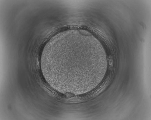 X0000111001252200907171806