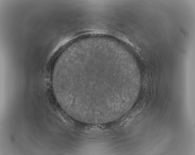 X0000111001255200907171805