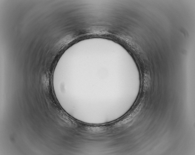 X0000111001257200907171805