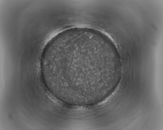 X0000111001263200907171805