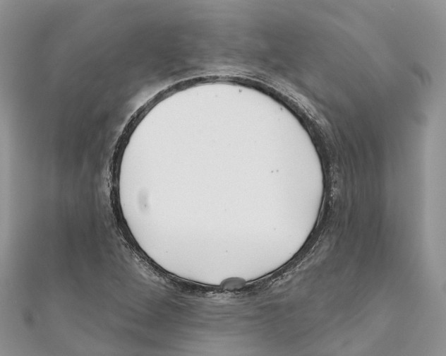 X0000111001264200907171805