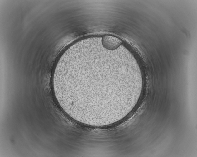 X0000111001265200907171805