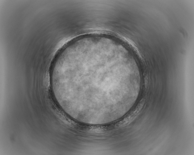 X0000111001267200907171805