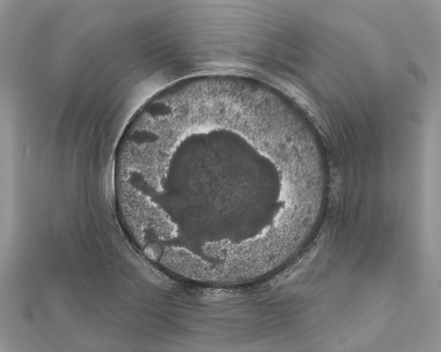 X0000111001275200907171805