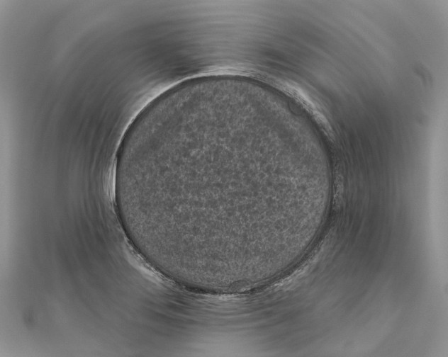 X0000111001276200907171805