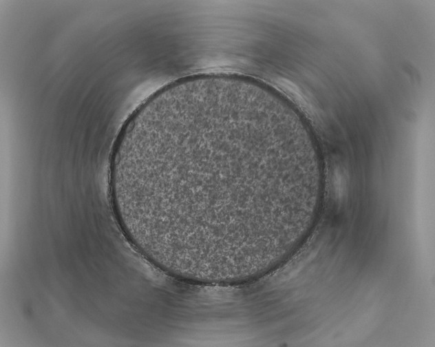 X0000111001277200907171805