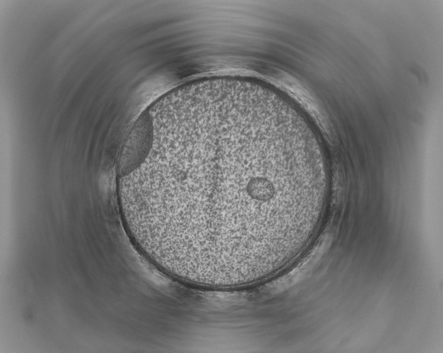 X0000111001281200907171805