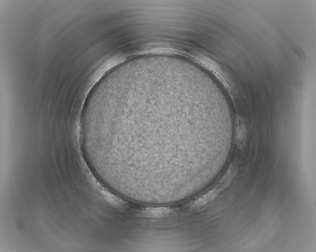 X0000111001282200907171805