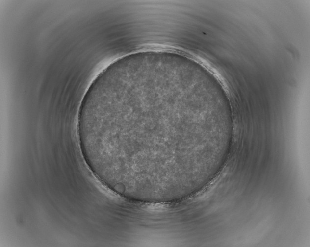 X0000111001283200907171805