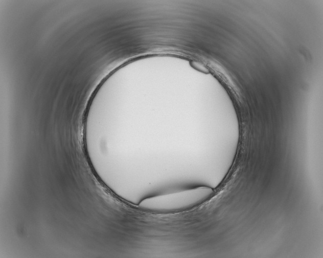 X0000111001284200907171805