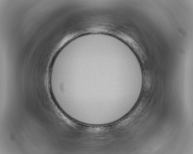 X0000111001286200907171805