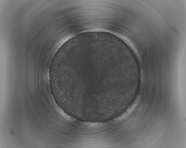 X0000111001289200907171805