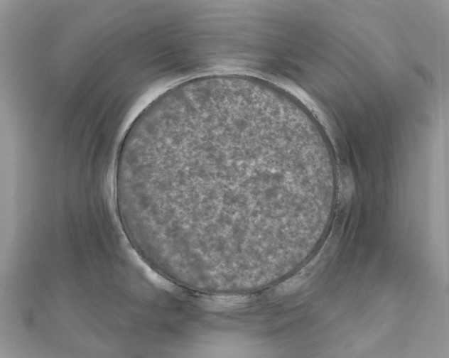 X0000111001294200907171805