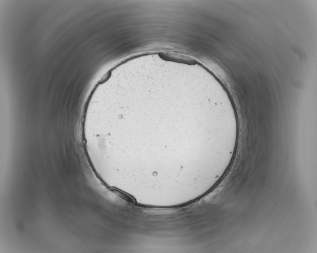 X0000111001296200907171805