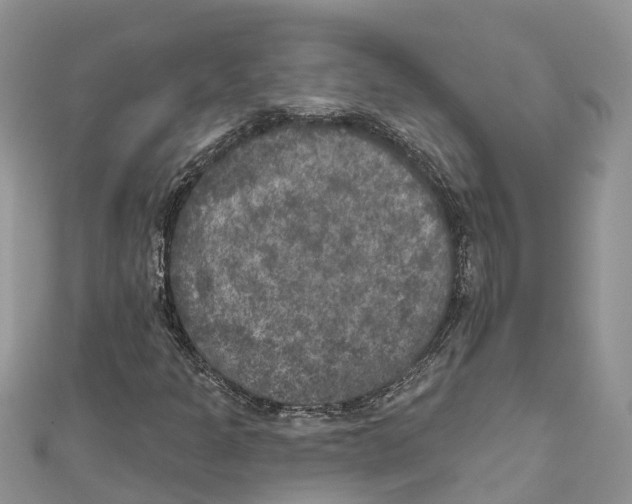 X0000111001301200907171804