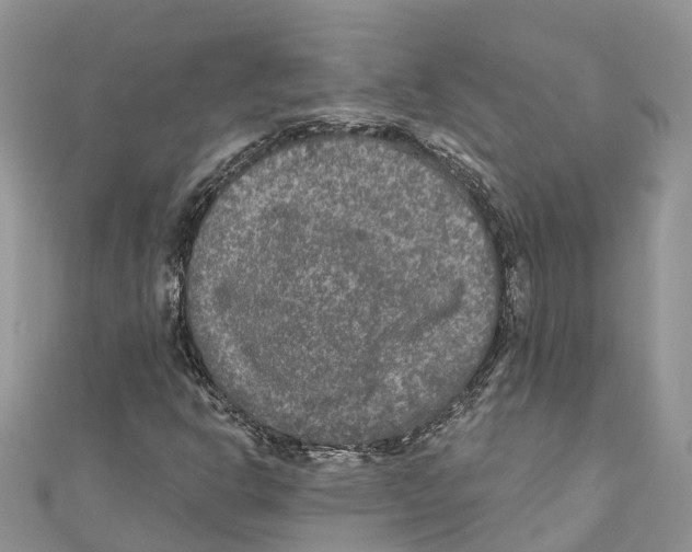 X0000111001302200907171804