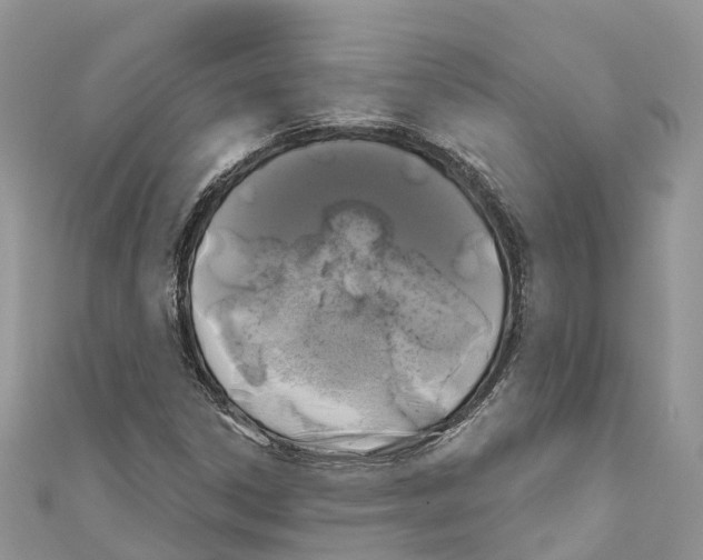 X0000111001306200907171804