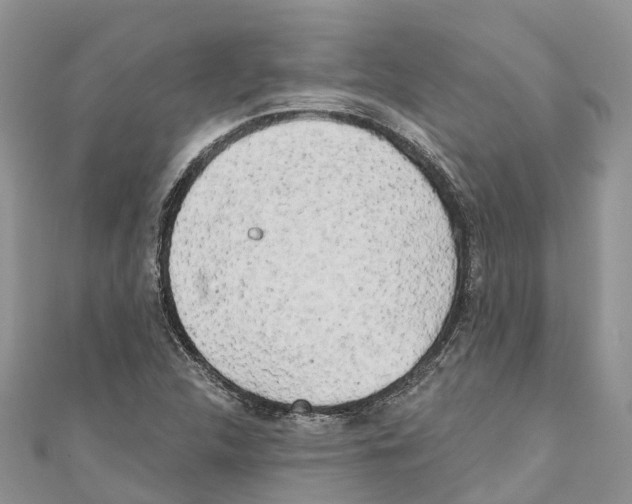 X0000111001312200907171804