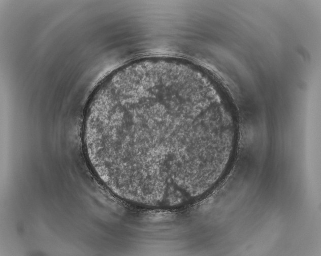 X0000111001314200907171804