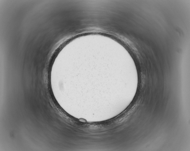 X0000111001318200907171805