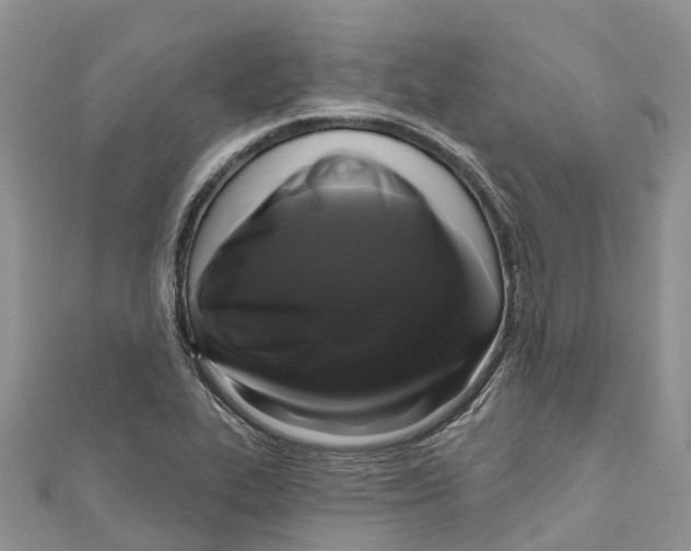 X0000111001319200907171805