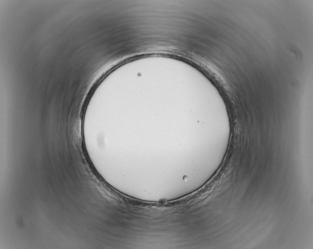 X0000111001324200907171805