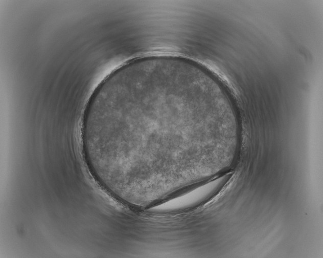 X0000111001325200907171805