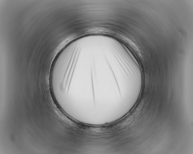 X0000111001330200907171805