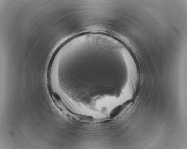 X0000111001331200907171805