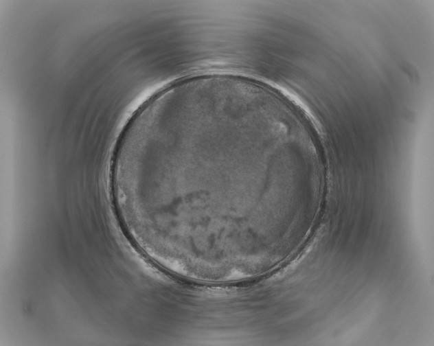 X0000111001333200907171805