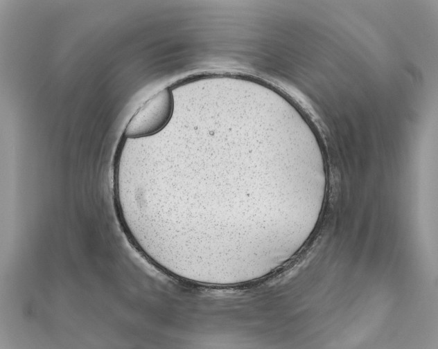 X0000111001335200907171805