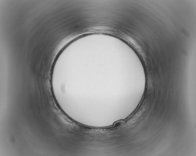 X0000111001336200907171805