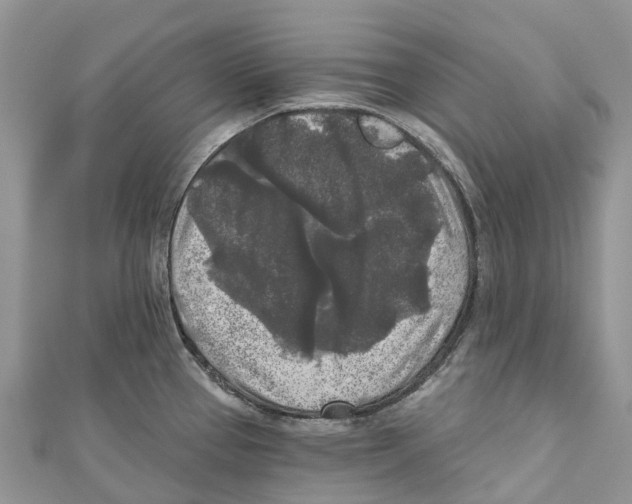 X0000111001337200907171805