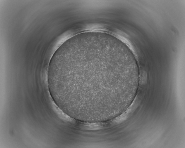 X0000111001338200907171805