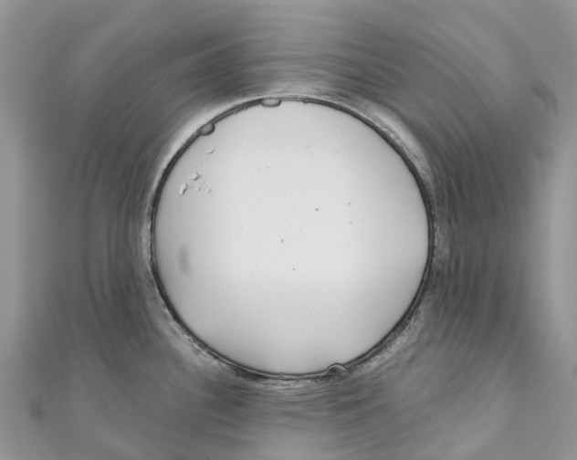 X0000111001340200907171805