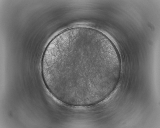 X0000111001341200907171805