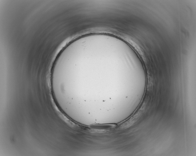 X0000111001342200907171805