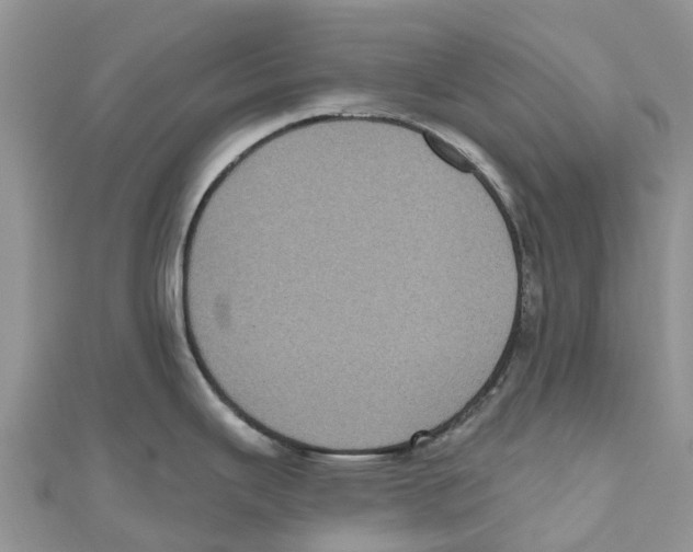 X0000111001343200907171805