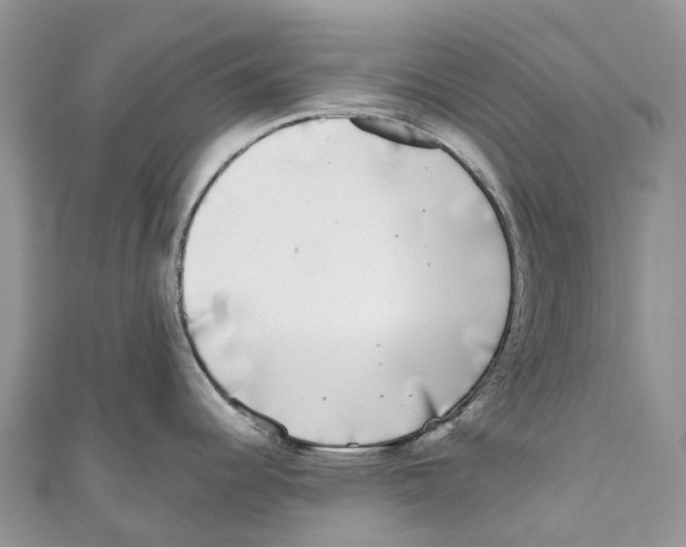 X0000111001344200907171805