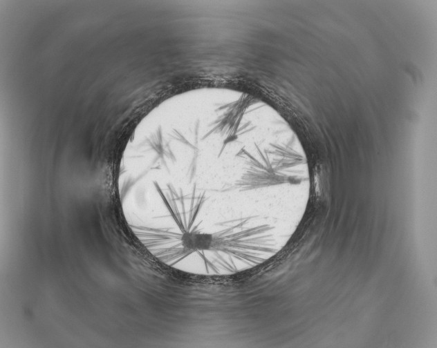 X0000111001347200907171804