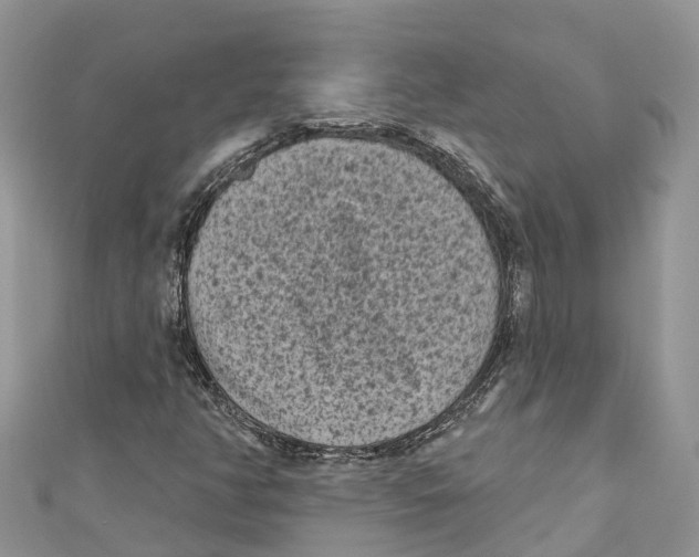 X0000111001350200907171804