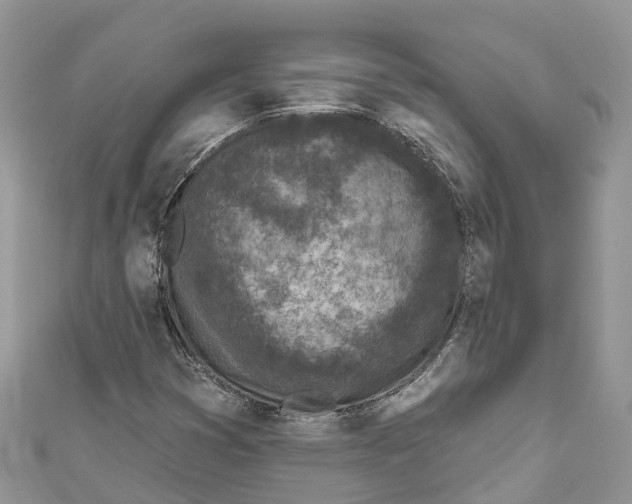 X0000111001353200907171804