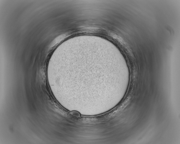 X0000111001354200907171804