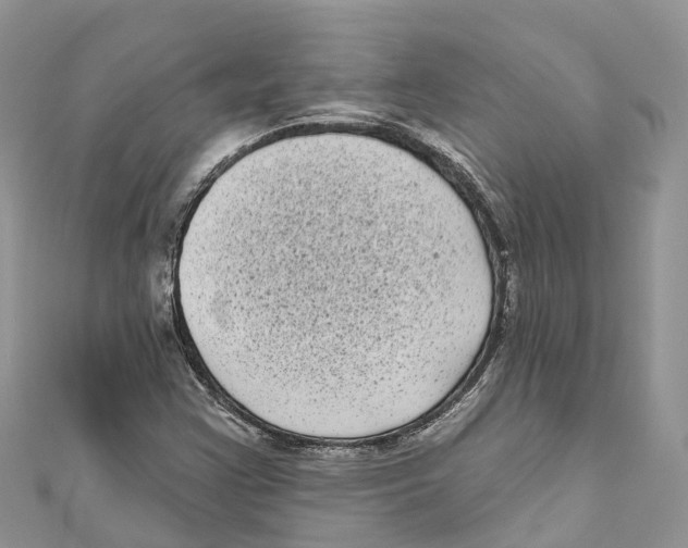 X0000111001355200907171804